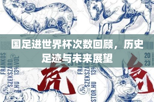 国足进世界杯广西贺州市华昌新材料有限公司次数回顾，历史足迹与未来展望