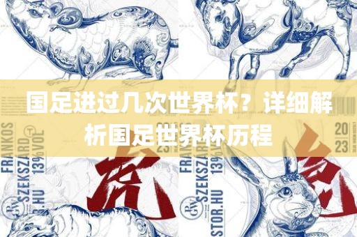 国足进过几次世界杯？详细解析国足世界杯历程