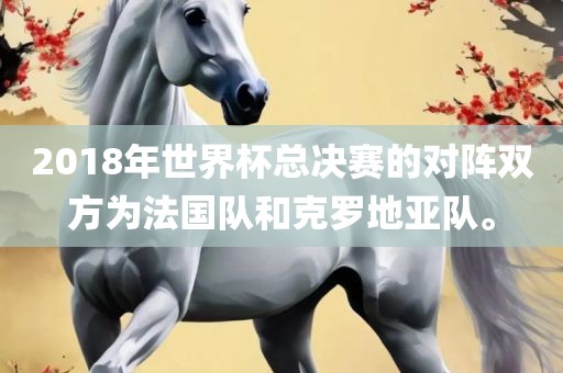 2018年世界杯总决赛的对阵双方为法国队和克罗地亚队。