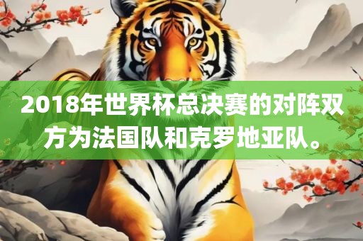 2018年世界杯总决赛的对阵双方为法国队和克罗地亚队。