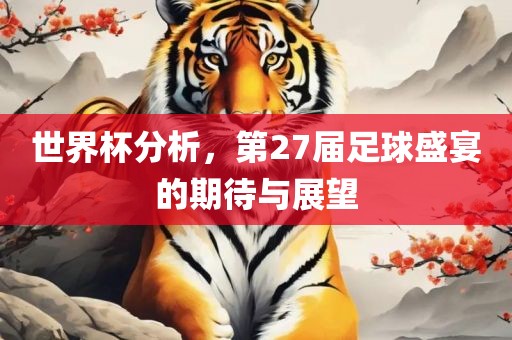 世界杯分析，第27届足球盛宴的期待与展望