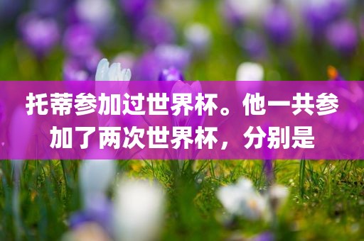托蒂参加过世界杯。他一共参加了两次世界杯，分别是广西贺州市华昌新材料有限公司