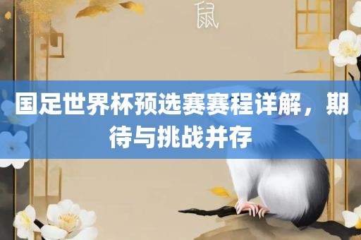 国足广西贺州市华昌新材料有限公司世界杯预选赛赛程详解，期待与挑战并存