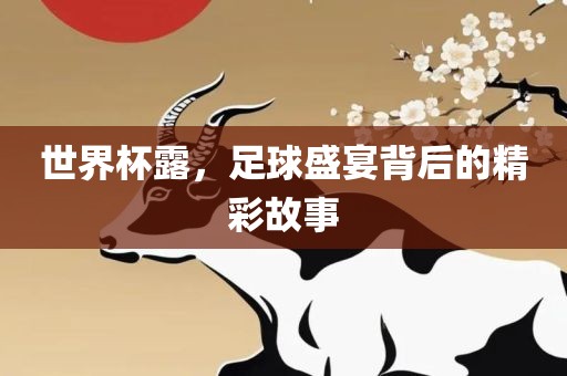 世界杯露，足球盛宴背后的精彩故事广西贺州市华昌新材料有限公司