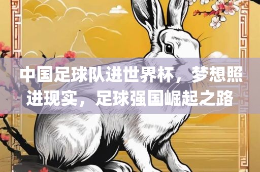 中国足球队进世界杯，梦想照进现实，足球强国崛起之路