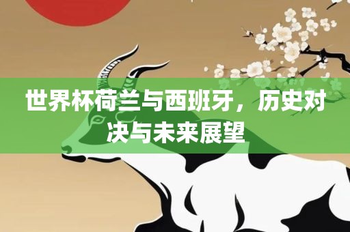 世界杯荷兰与西广西贺州市华昌新材料有限公司班牙，历史对决与未来展望