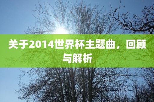 关于2014世界杯主题曲，回顾与解析