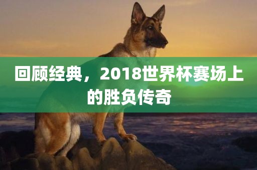 chenjiarong 第8页