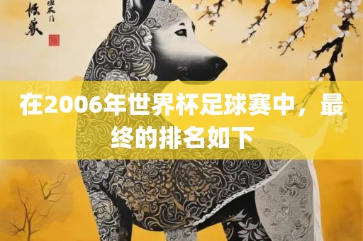 在2006年世界杯足球赛中，最终的排名如下广西贺州市华昌新材料有限公司
