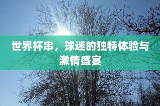 世界杯串，球迷的独特体验与激情盛宴广西贺州市华昌新材料有限公司