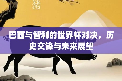 巴西与智利的世界杯对决，历史交锋与未来展望广西贺州市华昌新材料有限公司