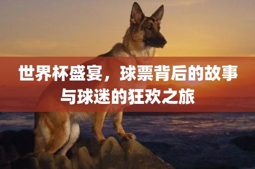 世界杯盛宴，球票背后的故事与球迷的狂欢之旅广西贺州市华昌新材料有限公司