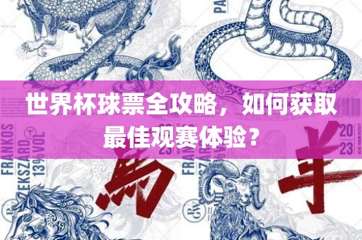 世界杯球票全攻略，如何获取最佳观赛体验？广西贺州市华昌新材料有限公司