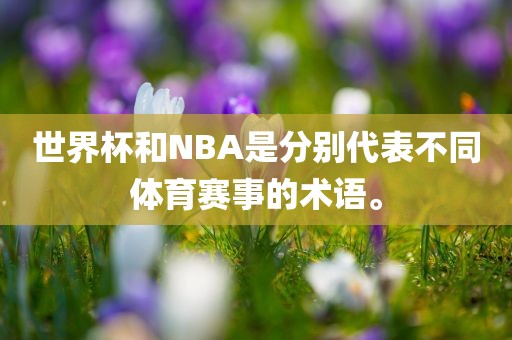 世界杯和NBA是分别代表不同体育赛事的术语。