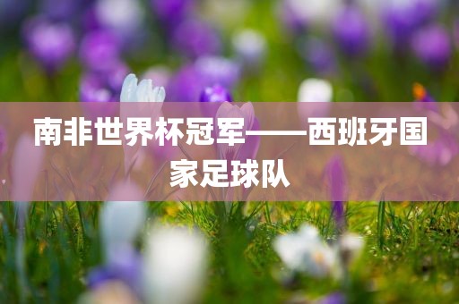 南非世界杯冠军——西班牙国家足球队广西贺州市华昌新材料有限公司