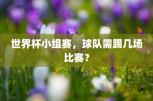 世界杯小组赛，球队需踢几场比赛？