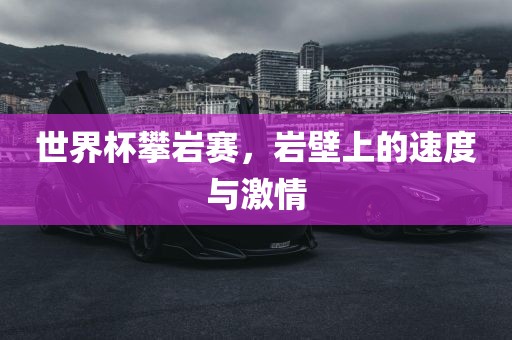 世界杯攀岩赛，岩壁上的速度与激情