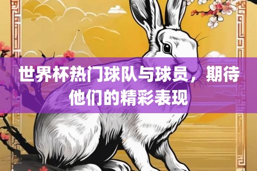 世界杯热门球队与球员，期待他们的精彩表现