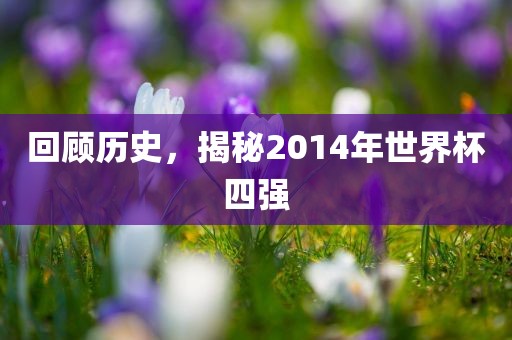 回顾历史，揭秘2014年世界杯四强
