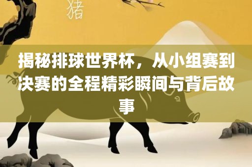 揭秘排球世界杯，从小组赛到决赛的全程精彩瞬间与背后故事