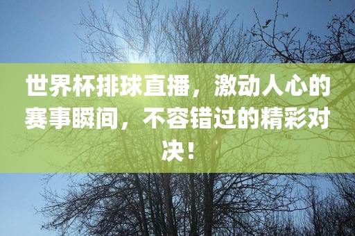 世界杯排球直播，激动人心的赛事瞬间，不容错过的精彩对决！