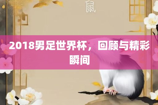 2018男足世界杯，回顾与精彩瞬间广西贺州市华昌新材料有限公司