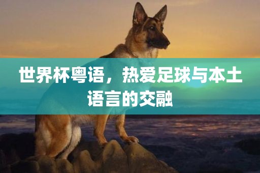 世界杯粤语，热爱足球与本土语言的交融广西贺州市华昌新材料有限公司