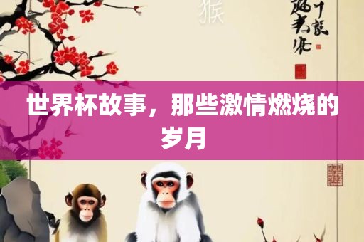 世界杯故事，那些激情燃烧的岁月