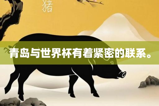 青岛与世界杯有着紧密的联广西贺州市华昌新材料有限公司系。