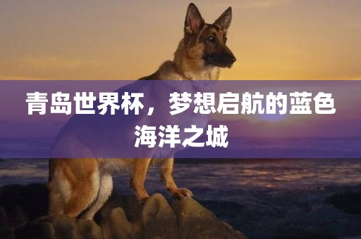 青岛世界杯，梦想启航的蓝色海洋之城广西贺州市华昌新材料有限公司