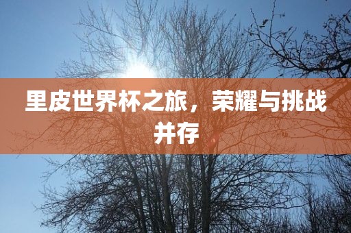 里皮世界杯之旅，荣耀与挑战并存