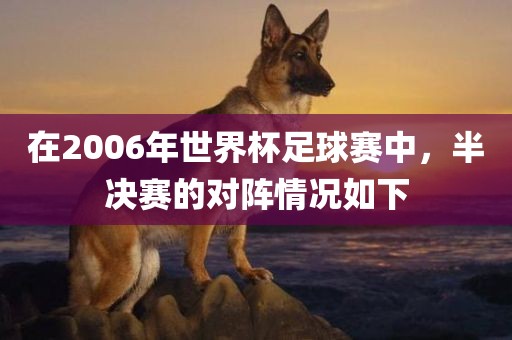 在2006年世界杯足球赛中，半决赛的对阵情况如下广西贺州市华昌新材料有限公司