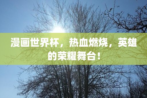 漫画世界杯，热血燃烧，英雄的荣耀舞台！广西贺州市华昌新材料有限公司
