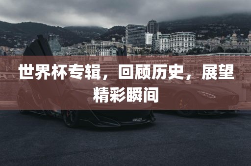 世界杯专辑，回顾历史，展望精彩瞬间广西贺州市华昌新材料有限公司