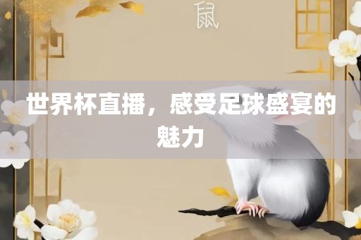 世界杯直播 第7页
