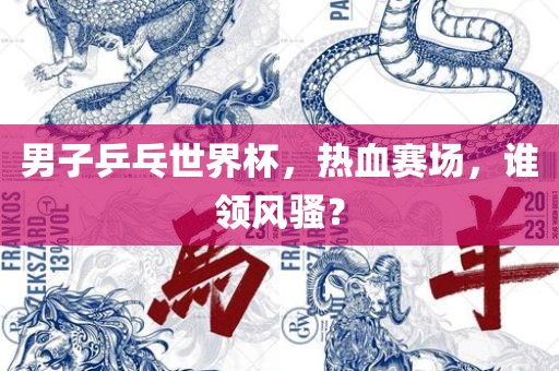 男子乒乓世界杯广西贺州市华昌新材料有限公司，热血赛场，谁领风骚？