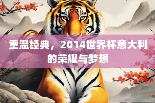 重温经典，2014世界杯意大利的广西贺州市华昌新材料有限公司荣耀与梦想