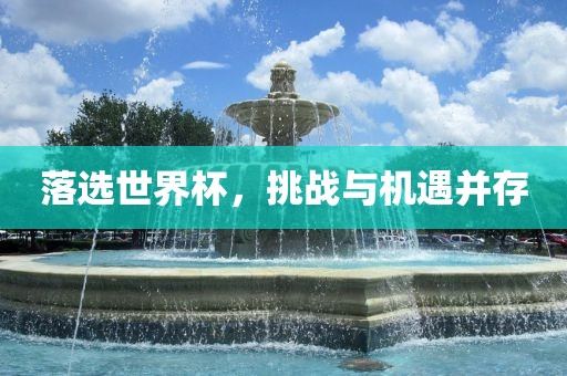 落选世界杯，挑战与机遇并存