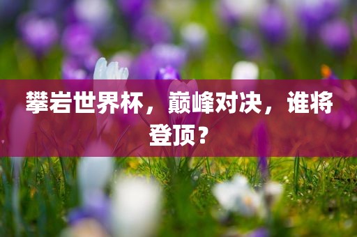 攀岩世界杯，巅峰对决，谁将登顶？
