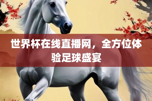 世界杯在线直播网，全方位体验足球盛宴