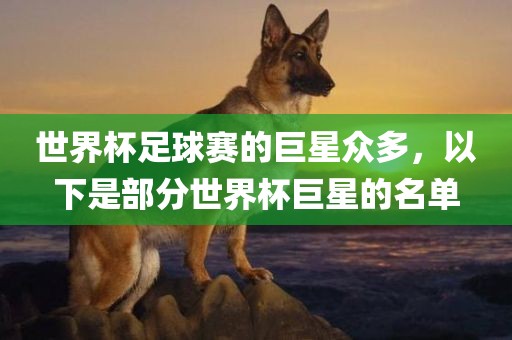 世界杯足球赛 第7页