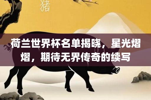 荷兰世界杯名单揭晓，星光熠熠，期待无界传奇的续写广西贺州市华昌新材料有限公司