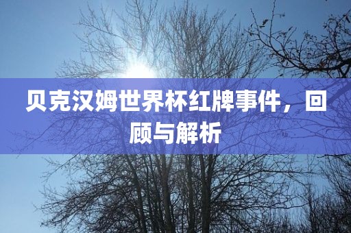 贝克汉姆世界杯红牌事件，回顾与解析