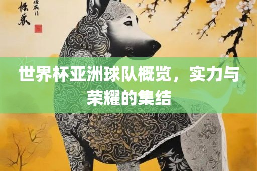 世界杯亚洲球队概览，实力与荣耀的集结