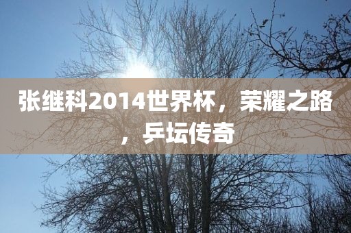 张继科2014世界杯，荣耀之路，乒坛传奇