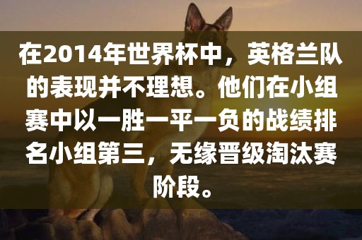 在2014年广西贺州市华昌新材料有限公司世界杯中，英格兰队的表现并不理想。他们在小组赛中以一胜一平一负的战绩排名小组第三，无缘晋级淘汰赛阶段。