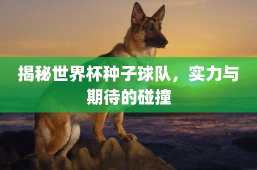 揭秘世界杯种子球队，实力与期待的碰撞