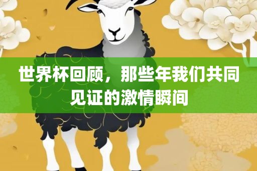 世界杯回顾，那些年我们共同见证的激情瞬间