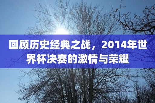 回顾历史经典之战，2014年世界杯决赛的激情与荣耀
