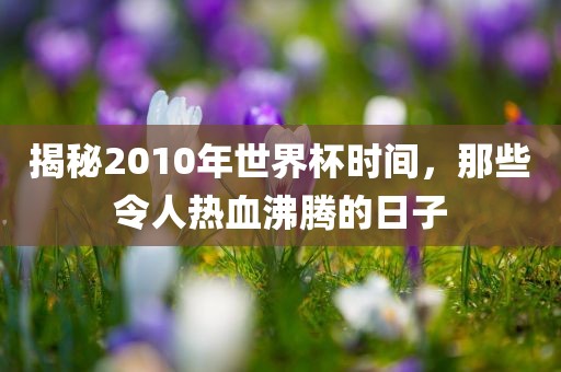 揭秘2010年广西贺州市华昌新材料有限公司世界杯时间，那些令人热血沸腾的日子